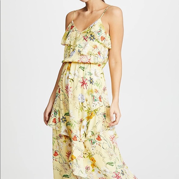 NWT PARKER MAXI FLORAL DRESS SIZE SMALL💛⭐️✨ - Picture 1 of 5
